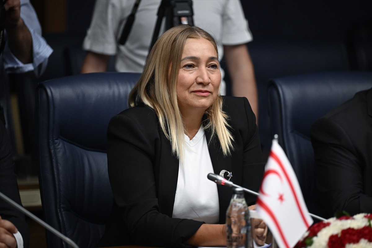 TBMM Milli Savunma Komisyonu Başkanı Hulusi Akar (fotoğrafta), KKTC Cumhuriyet Meclisi Hukuk...