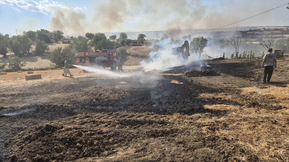  Tekirdağ'ın Malkara ilçesinde anızda başlayıp ağaçlık alana sıçrayan yangında 60 dekar alan zarar...