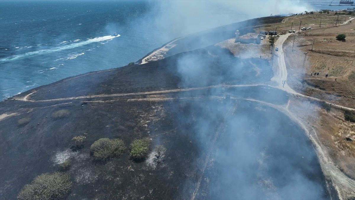 Tekirdağ'ın Marmaraereğlisi ilçesinde çıkan anız yangını söndürüldü.
