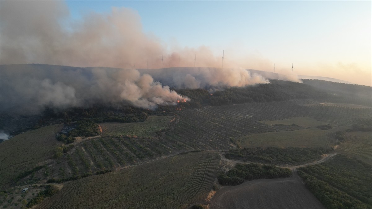 Tekirdağ'ın Şarköy ilçesinde tarım alanında başlayıp ormana sıçrayan yangın yerleşim yerine doğru...