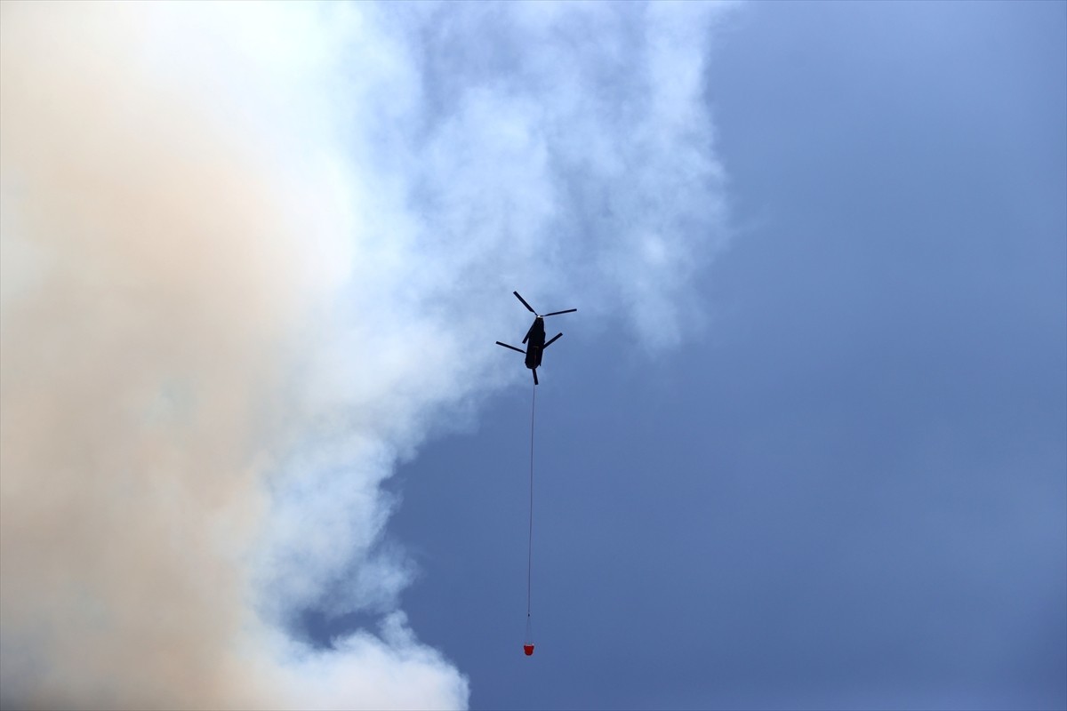 Tekirdağ'ın Şarköy ilçesindeki orman yangınına hem hava hem de kara unsurlarının sayısı...