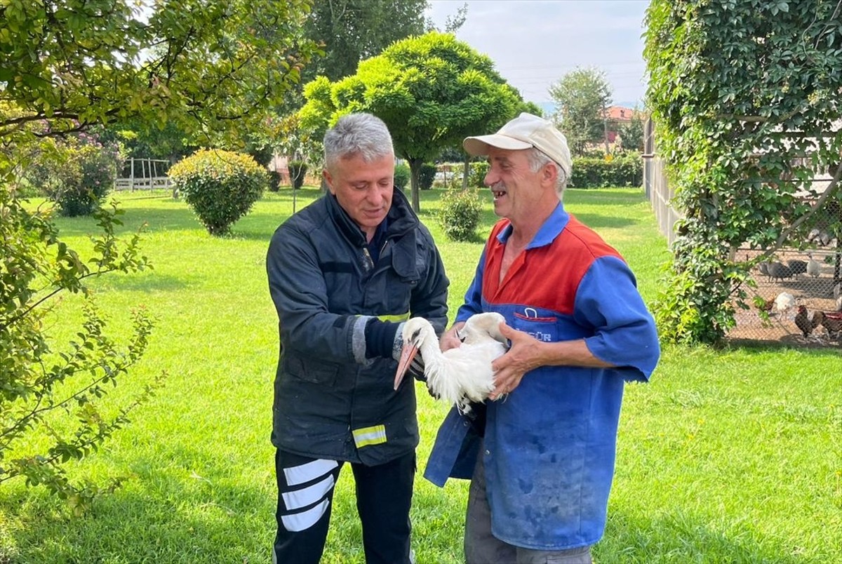 Tokat'ın Erbaa ilçesinde bir caminin sundurmasında mahsur kalan yaralı leyleği itfaiye ekipleri...
