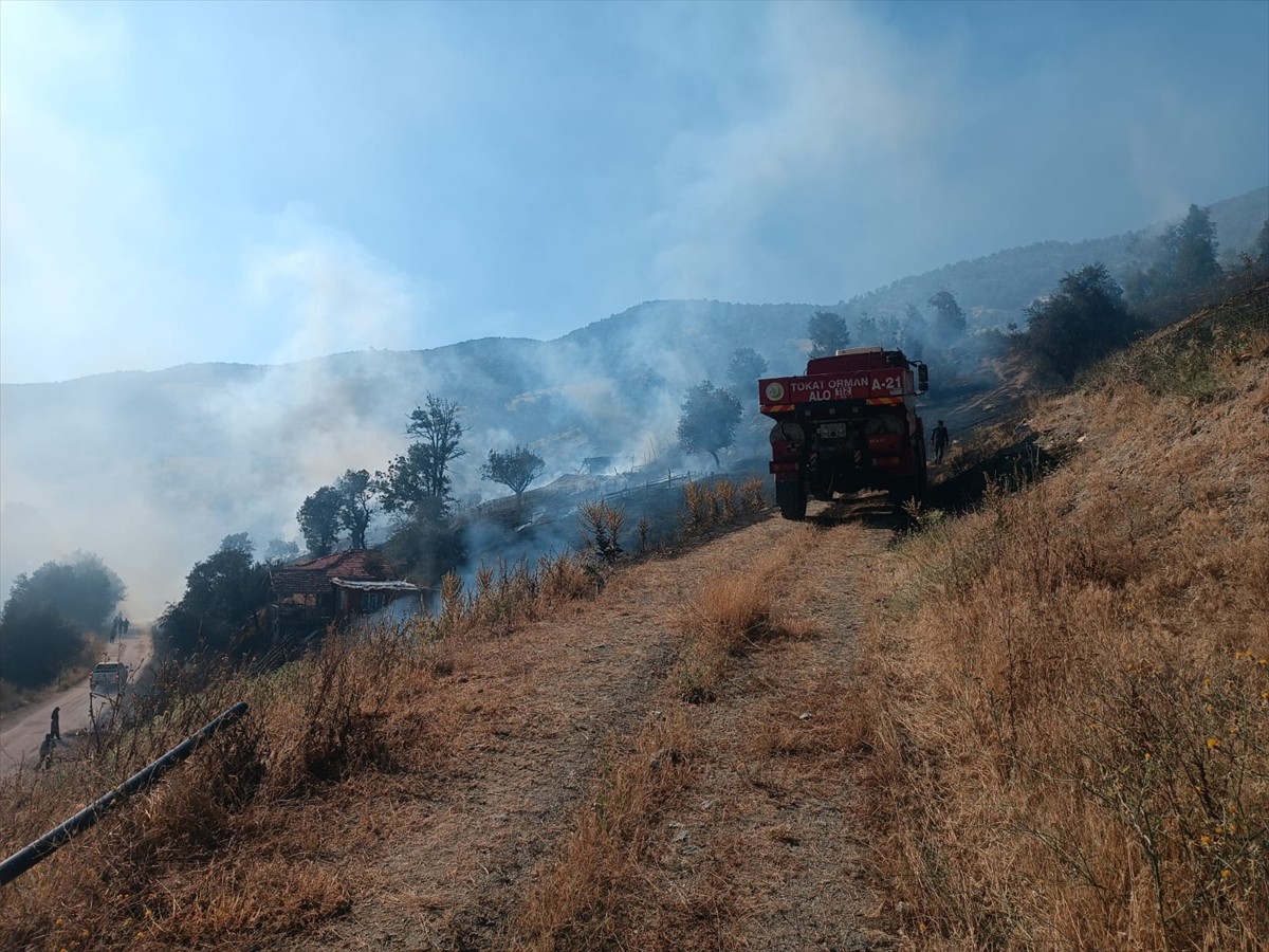 Tokat'ın Turhal ilçesinde çıkan yangında 10 dönümlük alan zarar gördü.
