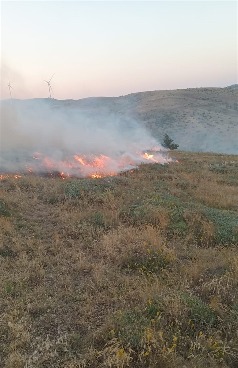 Tokat'ta çıkan anız yangınında yaklaşık 50 dönümlük alan zarar gördü.