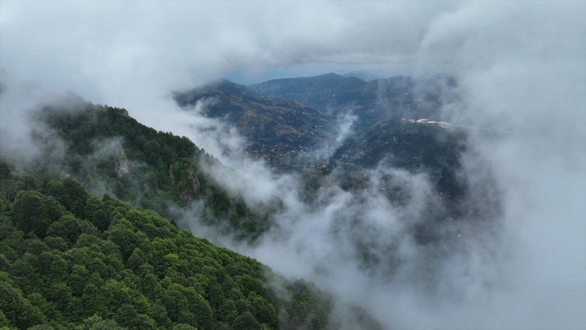 Trabzon kent merkezine en yakın yayla konumundaki Akçaabat ilçesinin 1600 rakımlı Hıdırnebi...