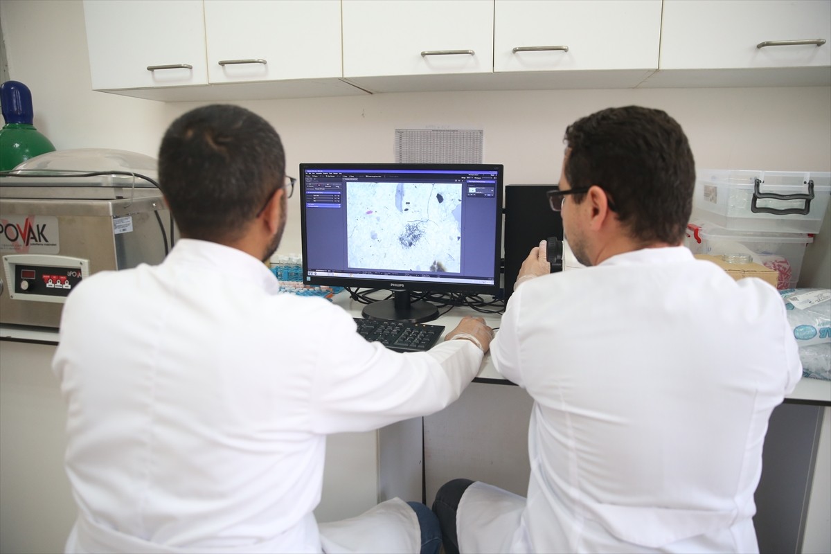 TÜBİTAK destekli, 24 ay sürecek "Mikroplastiklerin Ağır Metallerle İlişkisinde Plastisferin Rolü:...