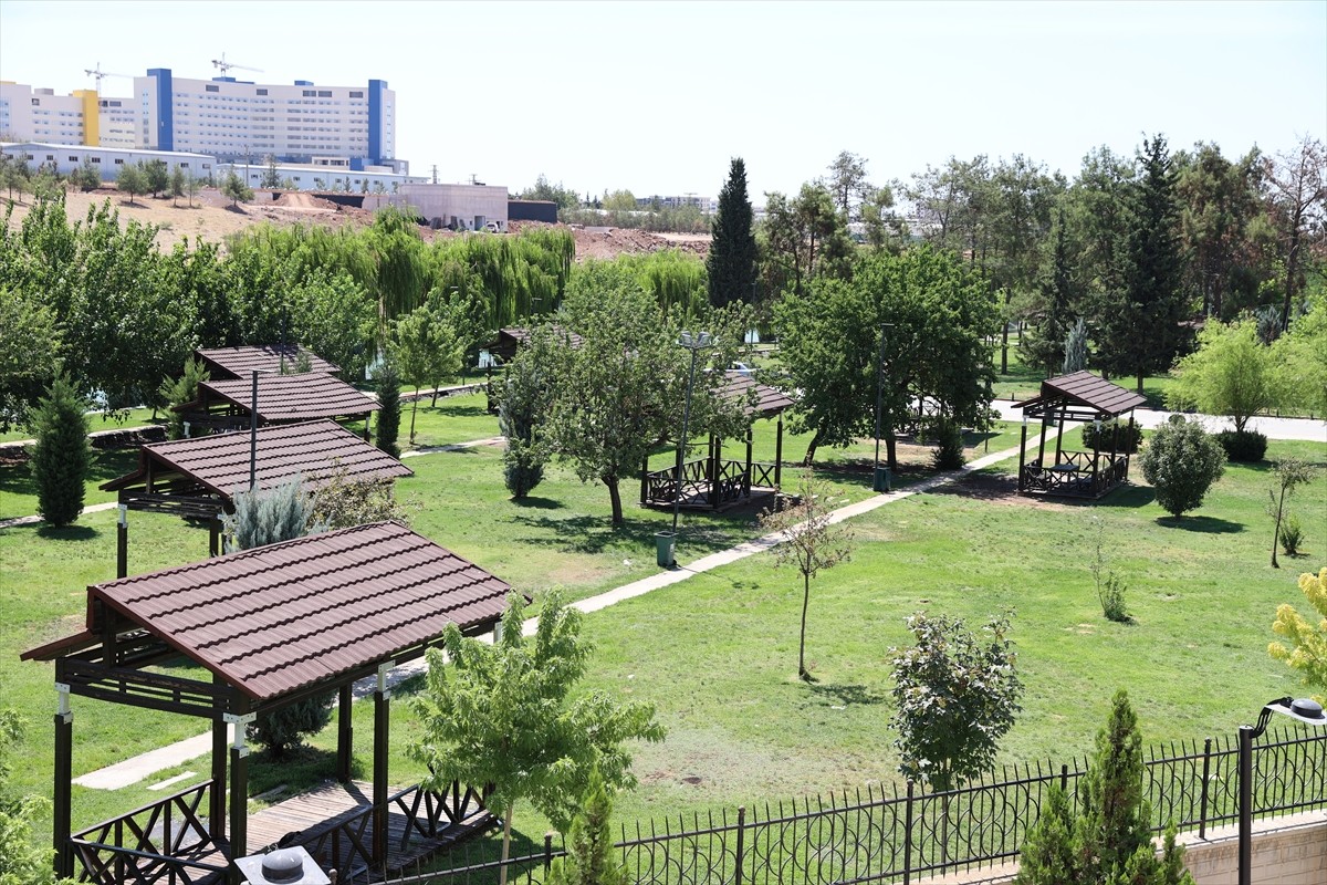 Türkiye'de sıcaklığın en yüksek ölçüldüğü kentlerden Şanlıurfa'da termometreler 51 dereceyi...