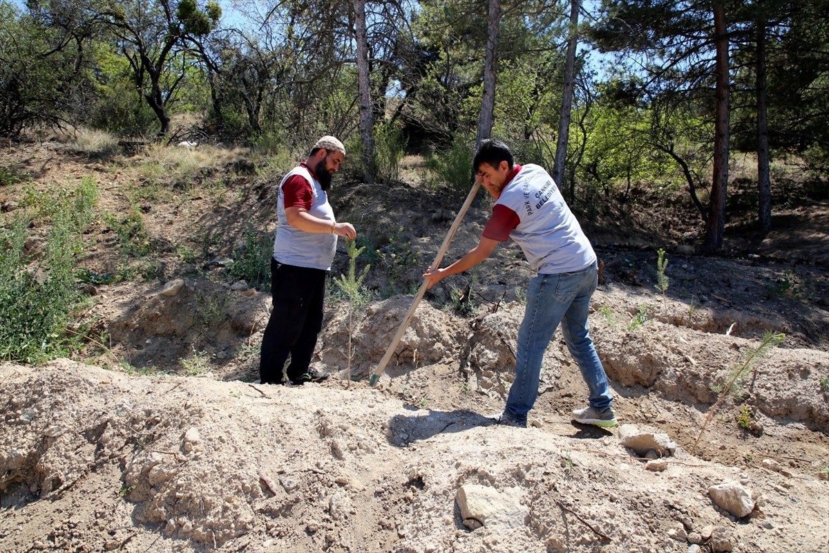 Türkiye'nin çeşitli bölgelerinde meydana gelen orman yangınlarının ardından Çankırı Belediyesi...