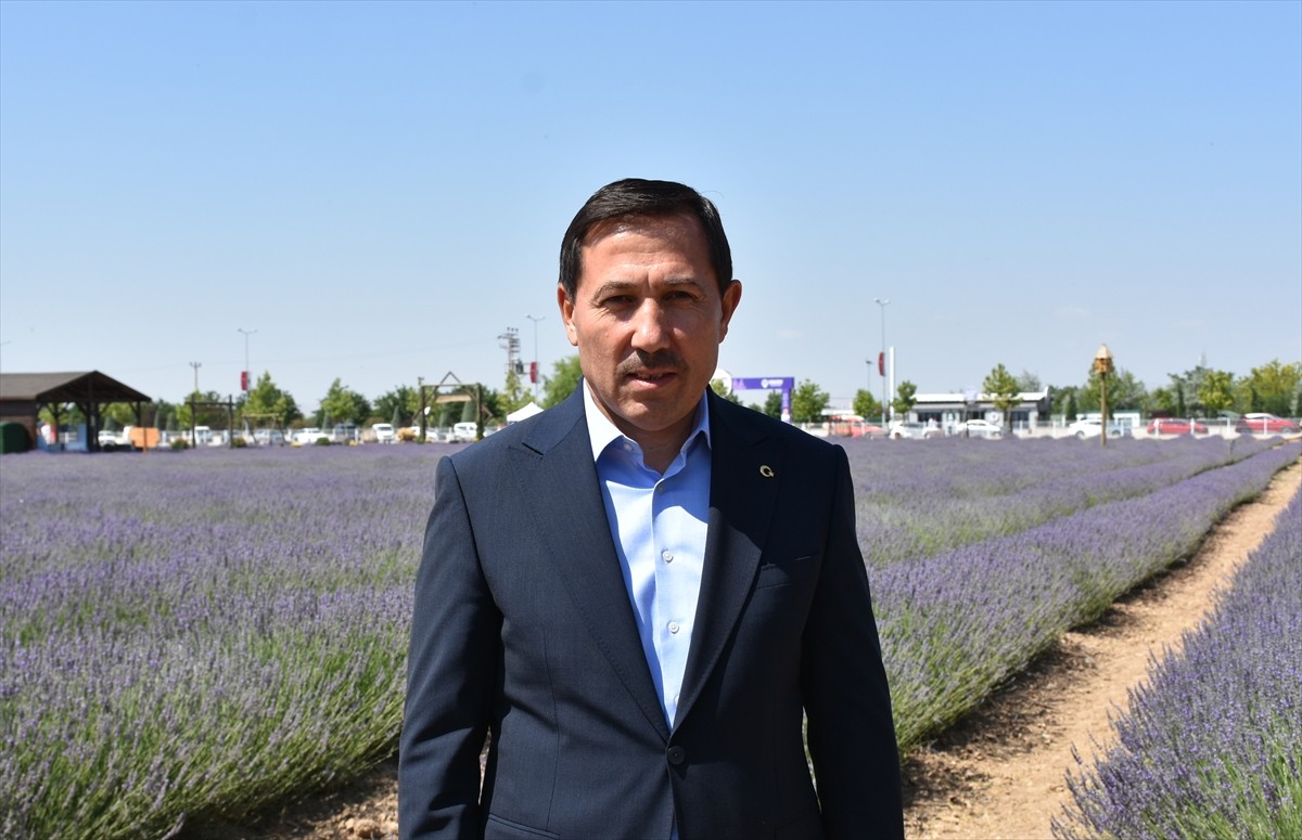 Türkiye'nin en büyük lavanta bahçelerinden biri olan Karatay Lavanta Bahçesi, yeni sezonda...
