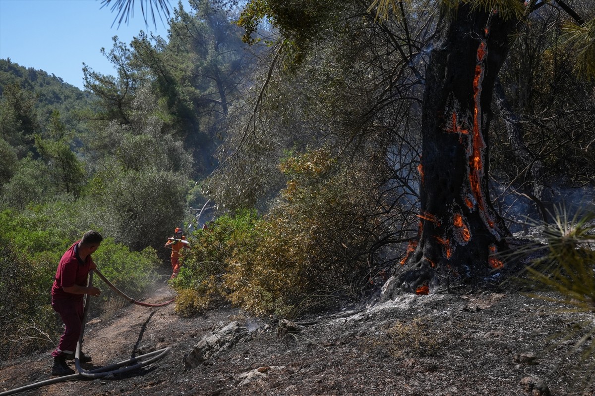 Türkiye'nin farklı kentlerinden ekip araçlarıyla İzmir'e gelen orman işçileri, Seferihisar ve...
