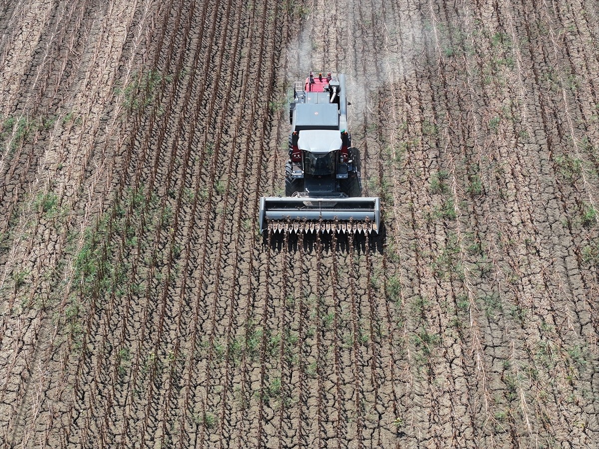 Türkiye'nin önemli ayçiçeği üretim merkezlerinden Edirne'de, ayçiçeği hasadı bu yıl aşırı sıcaklar...