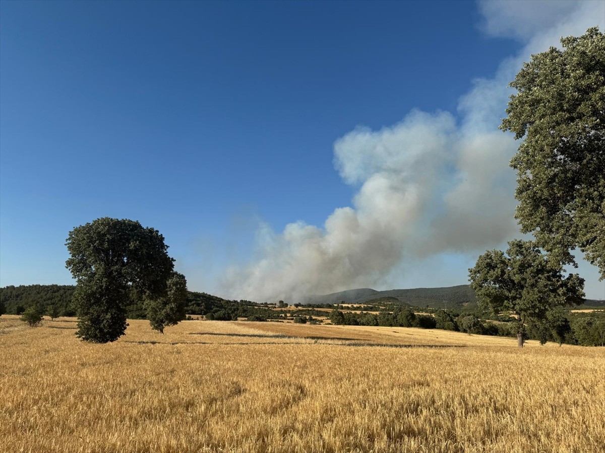 Uşak'ın Banaz ilçesindeki orman yangınına havadan ve karadan müdahale ediliyor.