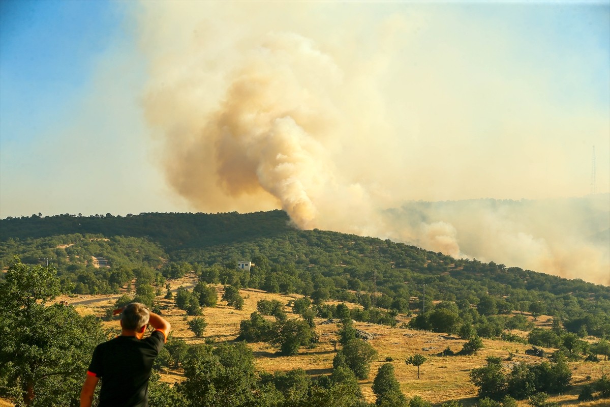 Uşak'ın Eşme ilçesinde tarım arazisinde başlayıp meşelik alana sıçrayan yangına havadan ve karadan...