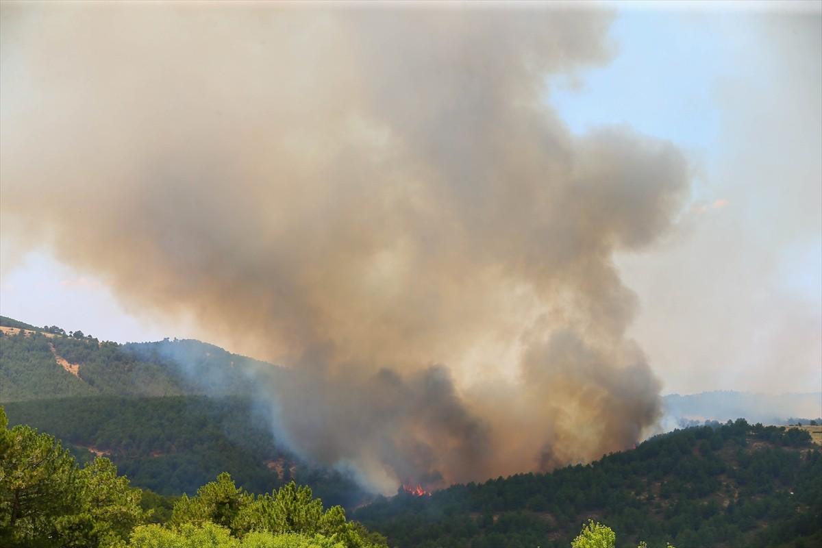 Uşak'ta çıkan orman yangınına havadan ve karadan müdahale edildi.