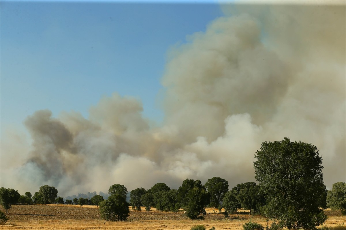 Uşak'ta tarım arazisinde başlayıp ormanlık alana sıçrayan yangına havadan ve karadan müdahale...