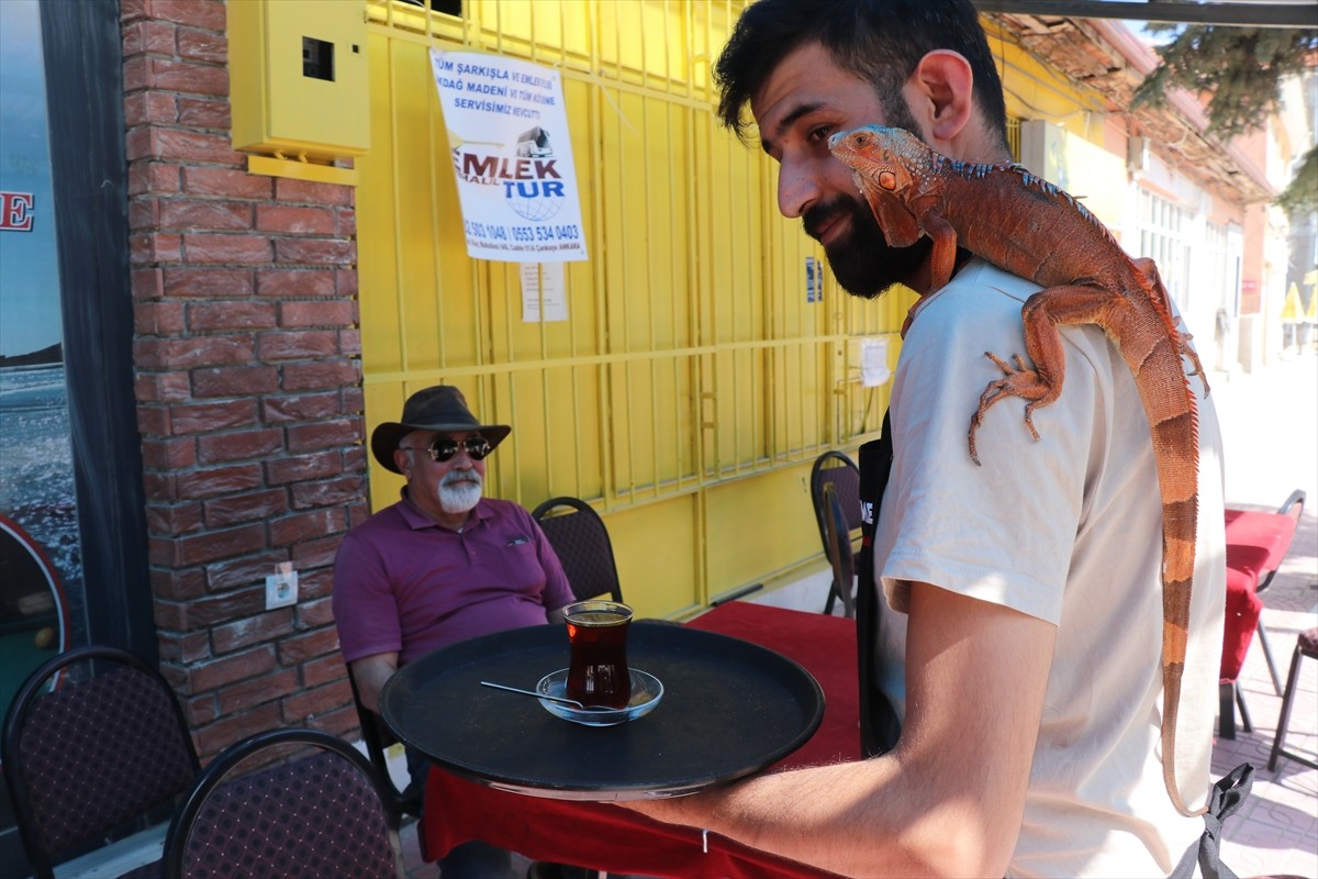 Yozgat'ın Sorgun ilçesine bağlı Bahadın beldesinde kafe işleten Güner Öztürk'ün satın aldığı ve...