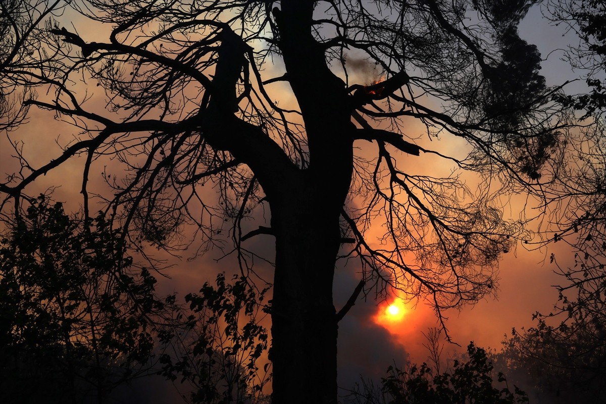 Yunanistan'da etkili olan yüksek hava sıcaklıkları ülkenin farklı noktalarında yangınlara neden...