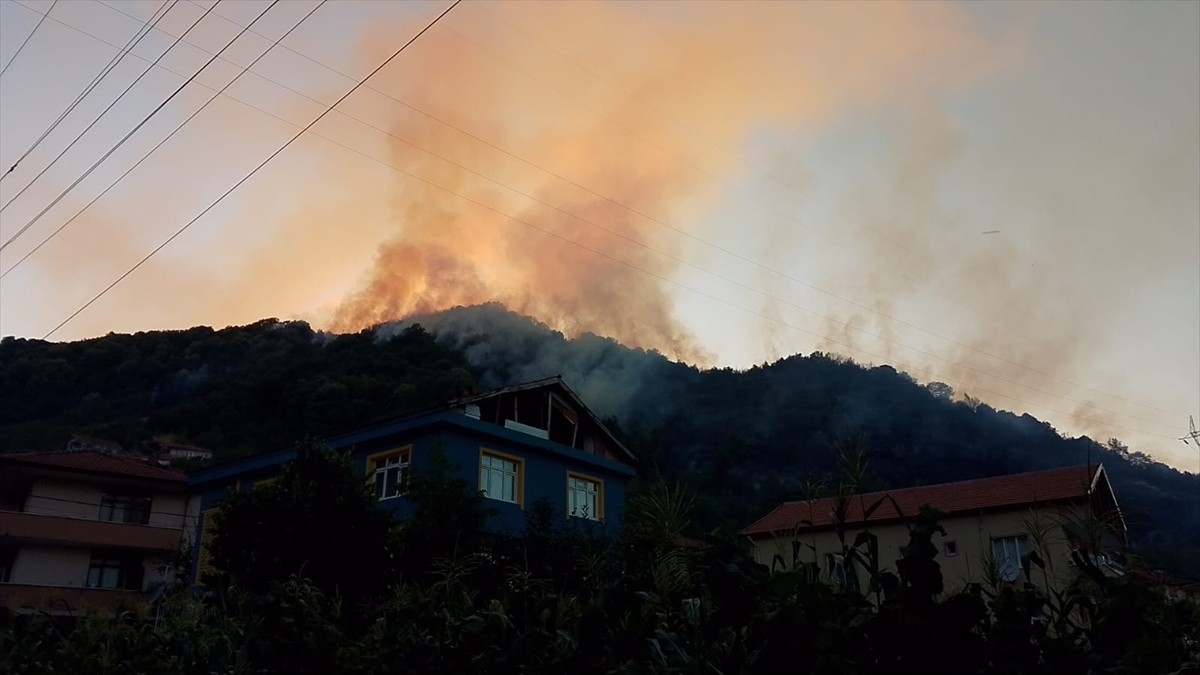 Zonguldak'ın Karadeniz Ereğli ilçesinde ormanlık alanda çıkan yangın ekiplerin müdahalesiyle...