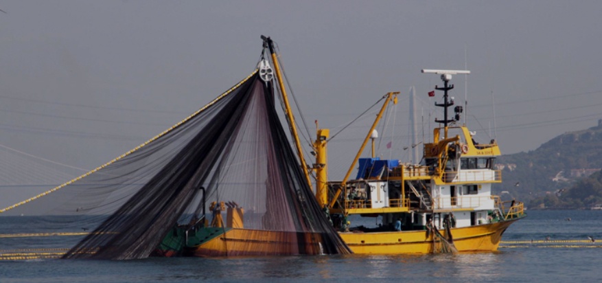1 Eylül'de tüm yasaklar kalkıyor! Herşey tamam: Milyonlar bu günü bekliyor 