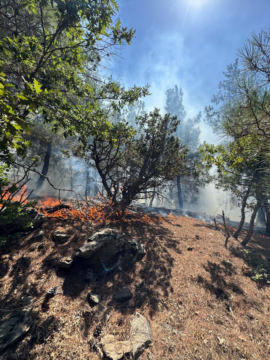 Adana'nın Feke ilçesindeki ormanlık alanda yangın çıktı.