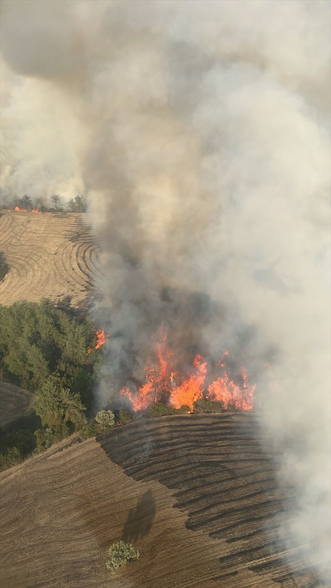Adana'nın İmamoğlu ilçesinde ormanlık alanda çıkan yangına havadan ve karadan müdahale...