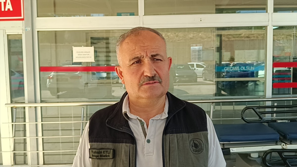 Adana'nın Kozan ilçesinde yangın çıkan ormanlık alandan dinlenmek için ayrıldıktan sonra kaybolan...