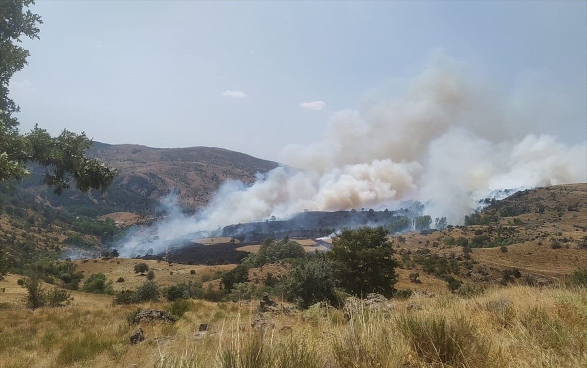 Afyonkarahisar'ın Sinanpaşa ilçesinde çıkan örtü yangını söndürüldü.