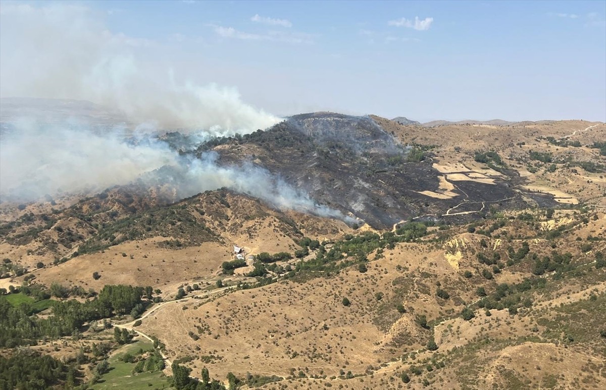 Afyonkarahisar'ın Sinanpaşa ilçesinde çıkan örtü yangını söndürüldü.