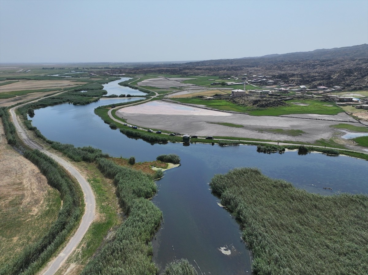 Ağrı Dağı'nın eteklerindeki Iğdır'ın Aralık ve Karakoyunlu ilçeleri arasında yer alan sulak...