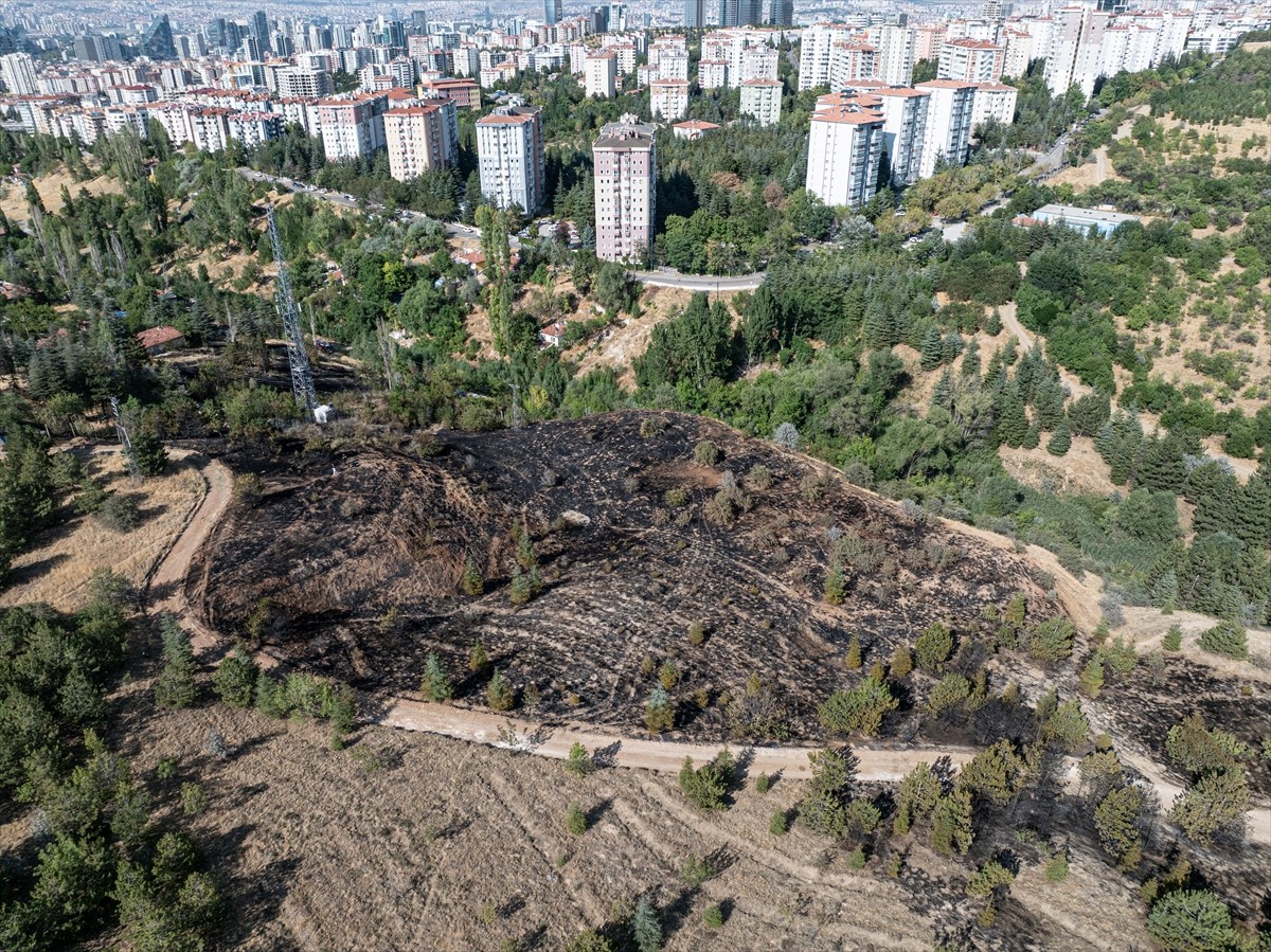 Ankara'nın Çankaya ilçesinde çalılık alanda çıkan yangın söndürüldü.