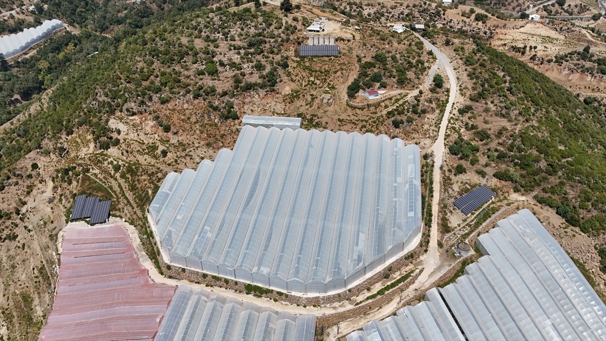 Antalya'nın Alanya ilçesinde yaşayan Ali Hüddoğlu, tropikal meyve bahçesinin enerji ihtiyacını...