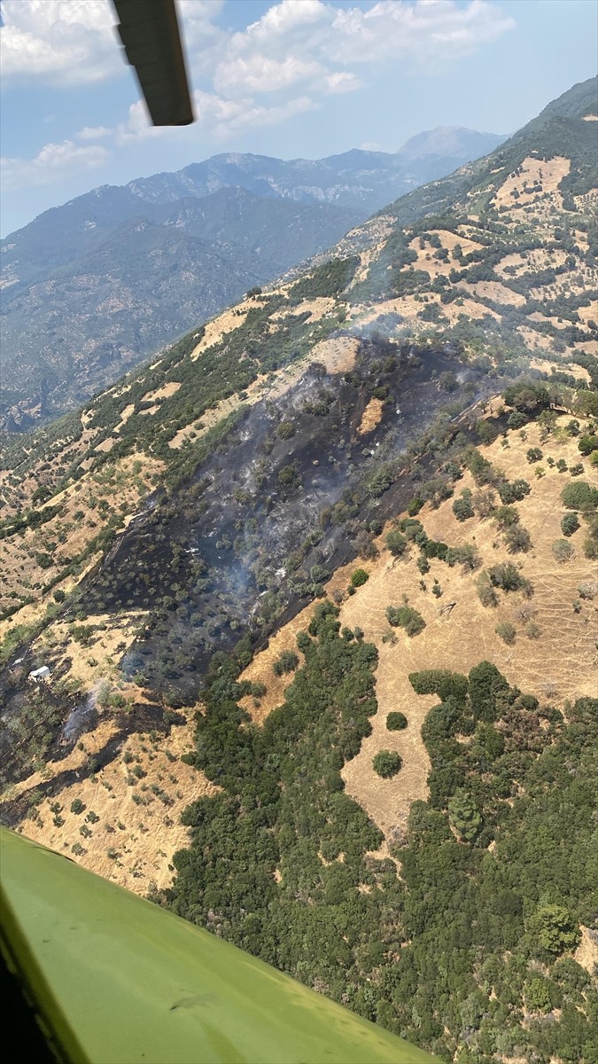 Aydın'ın Efeler ilçesinde tarım arazisinde çıkan yangın, ekiplerin müdahalesiyle kontrol altına...