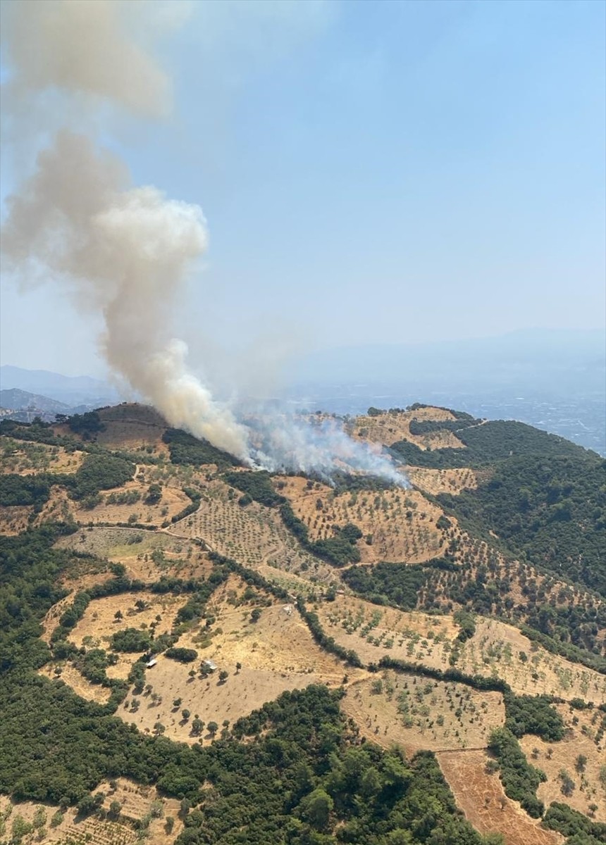 Aydın'ın Efeler ilçesinde ziraat alanında çıkan yangına havadan ve karadan müdahale...