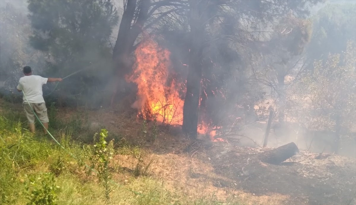 Balıkesir'in Erdek ilçesinde çıkan orman yangını ekiplerin müdahalesiyle kontrol altına...