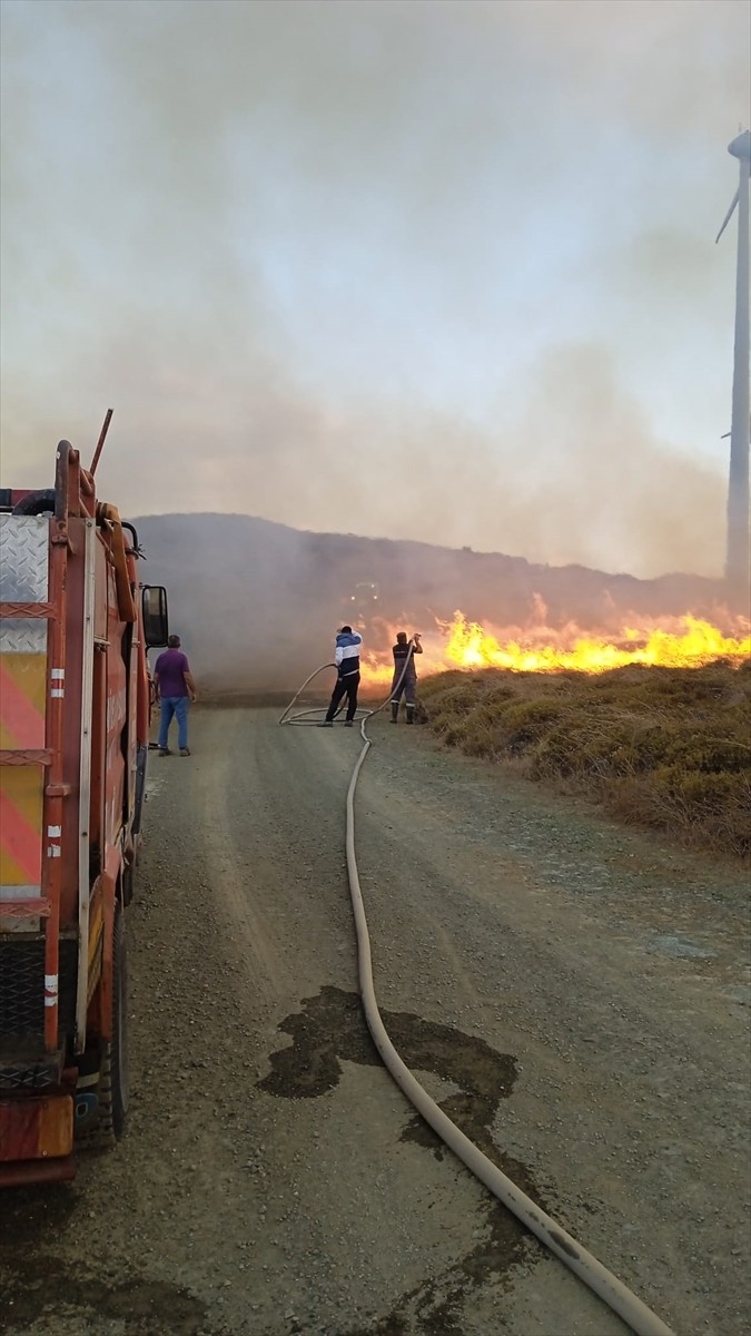 Balıkesir'in Erdek ilçesine bağlı Paşalimanı Adası'nda çıkan yangın, ekiplerin müdahalesiyle...