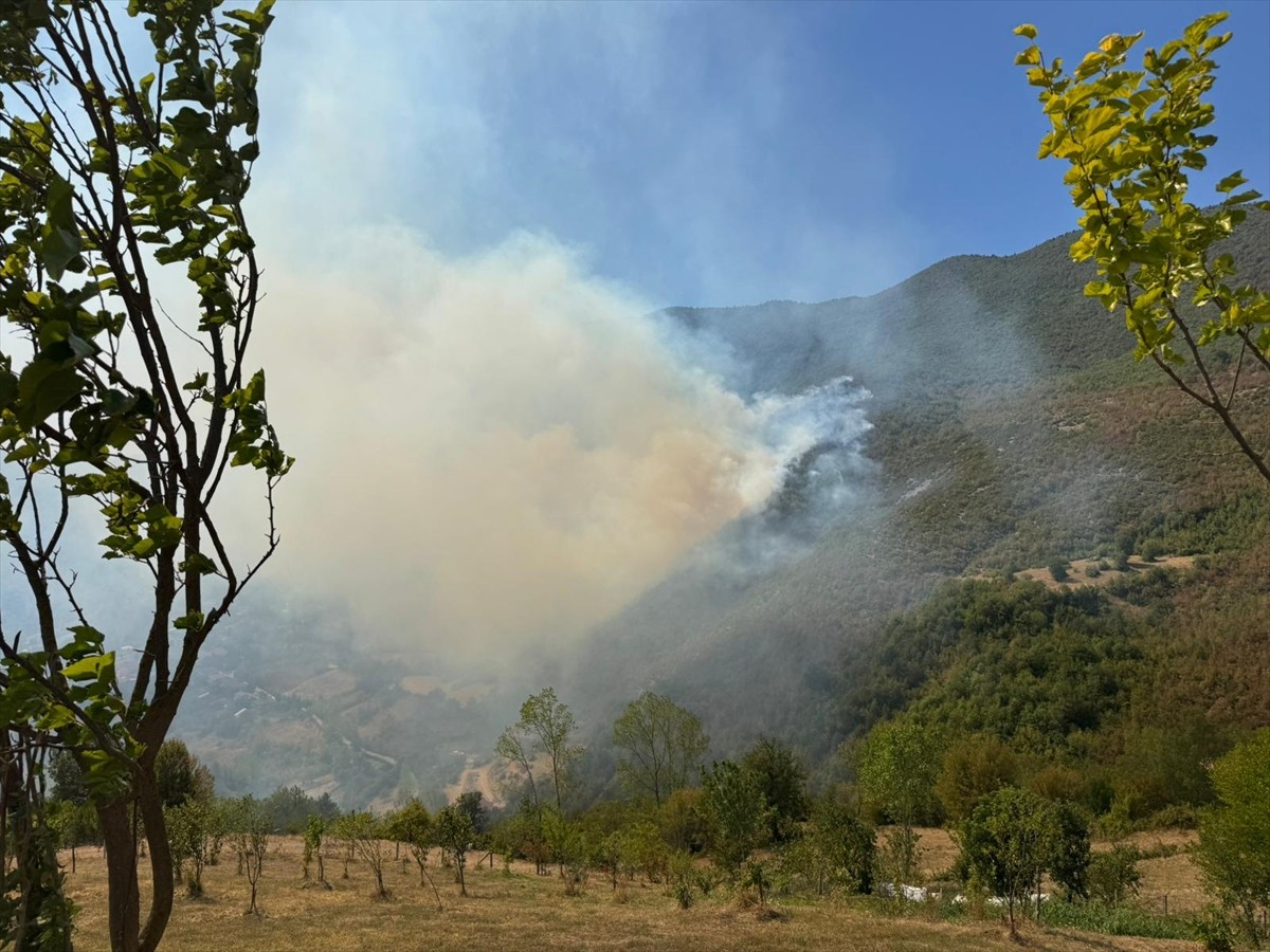 Bartın'ın Ulus ilçesinde ormanlık alanda yangın çıktı. 