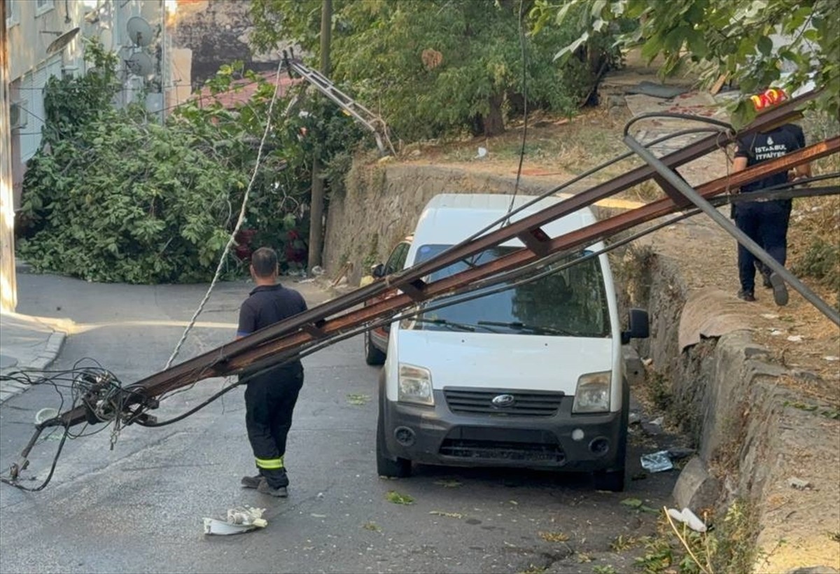 Beyoğlu'nda devrilen 2 ağaç, park halindeki 2 araca zarar verdi. İhbar üzerine olay yerine polis...