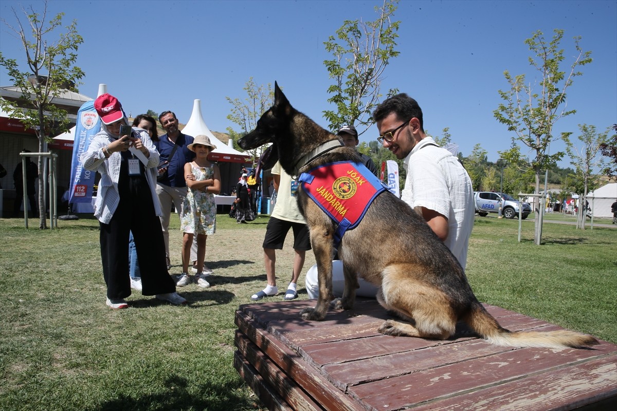 Bitlis'in Ahlat ilçesinde Malazgirt Zaferi'nin 954. yıl dönümü kapsamında düzenlenen etkinlikler...
