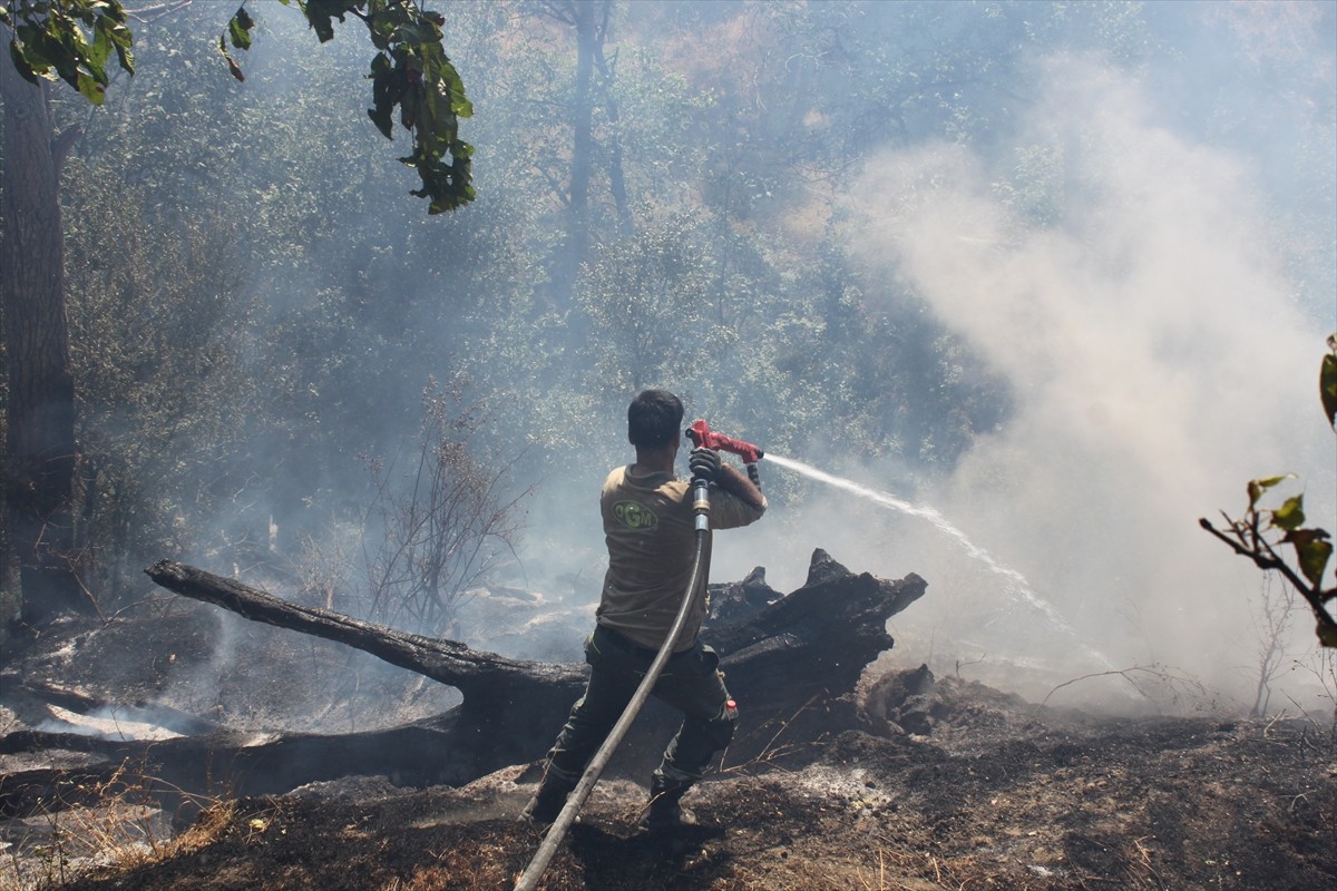 Bitlis'in Hizan ilçesinde ağaçlık alanda çıkan yangın, ekiplerin müdahalesiyle...