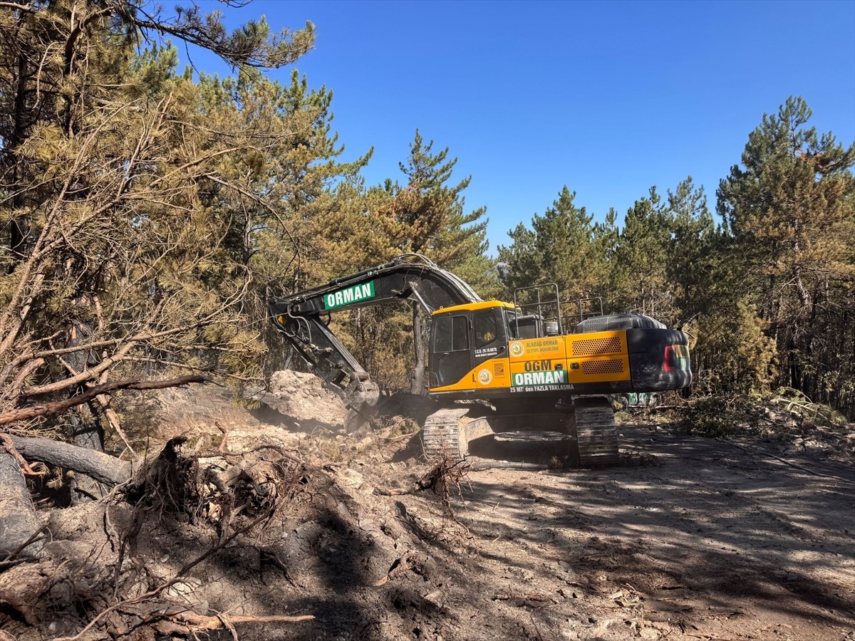 Bolu'nun Mudurnu ilçesinde çıkan orman yangını havadan ve karadan müdahaleyle kısmen kontrol...