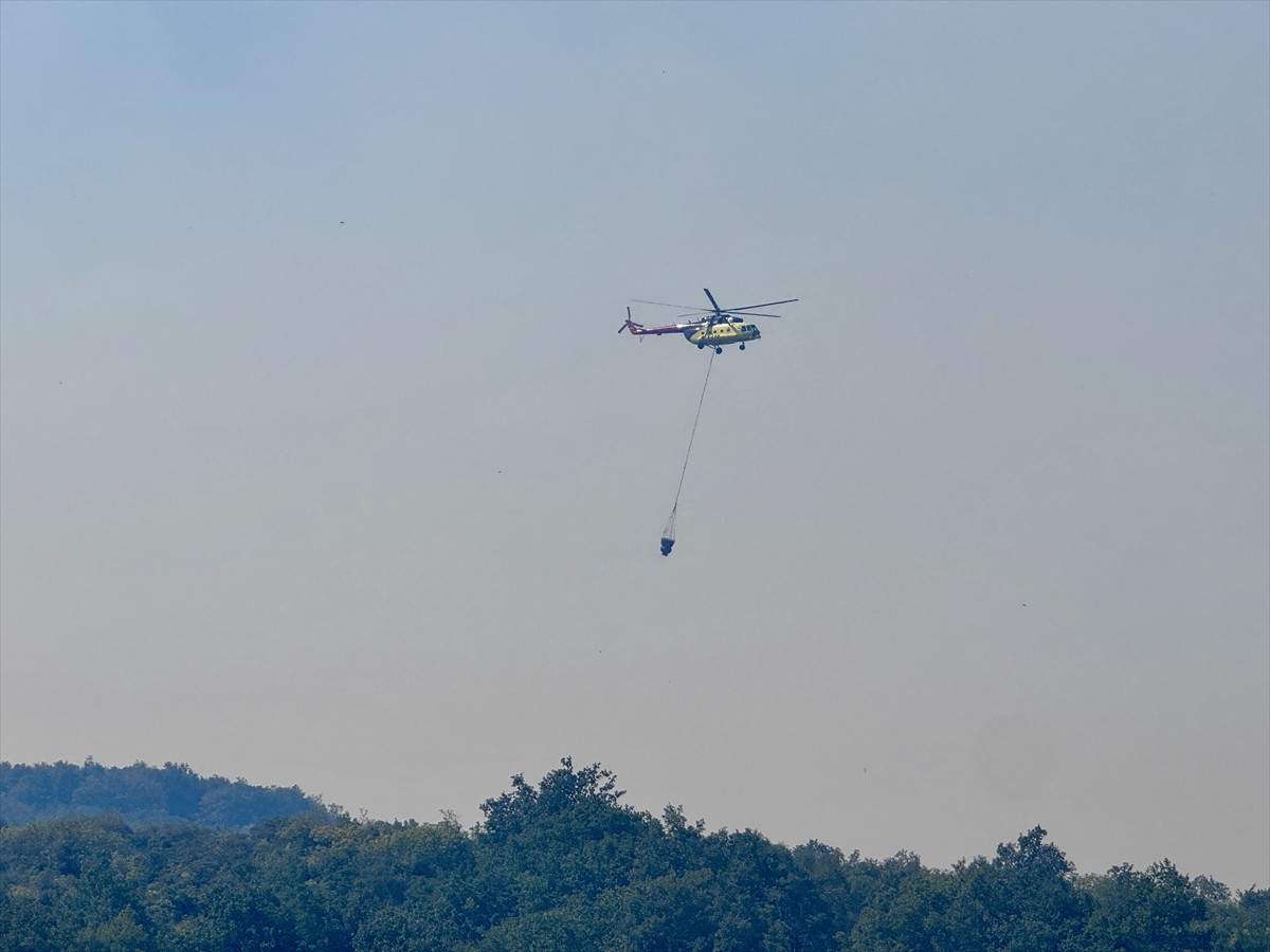 Bursa'nın İznik ilçesinde makilik alanda çıkan yangına havadan ve karadan müdahale ediliyor.