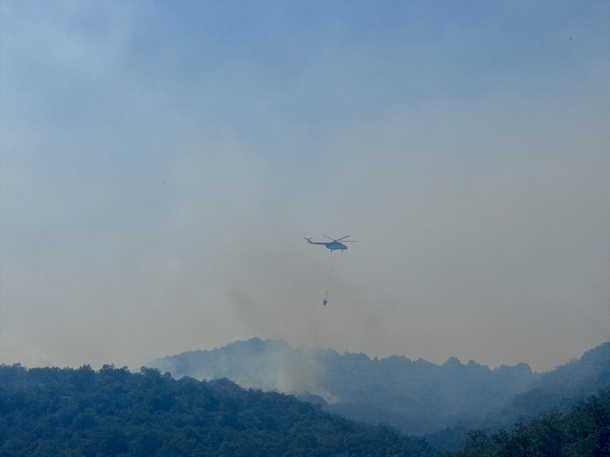 Bursa'nın İznik ilçesinde makilik alanda çıkan yangına havadan ve karadan müdahale ediliyor.