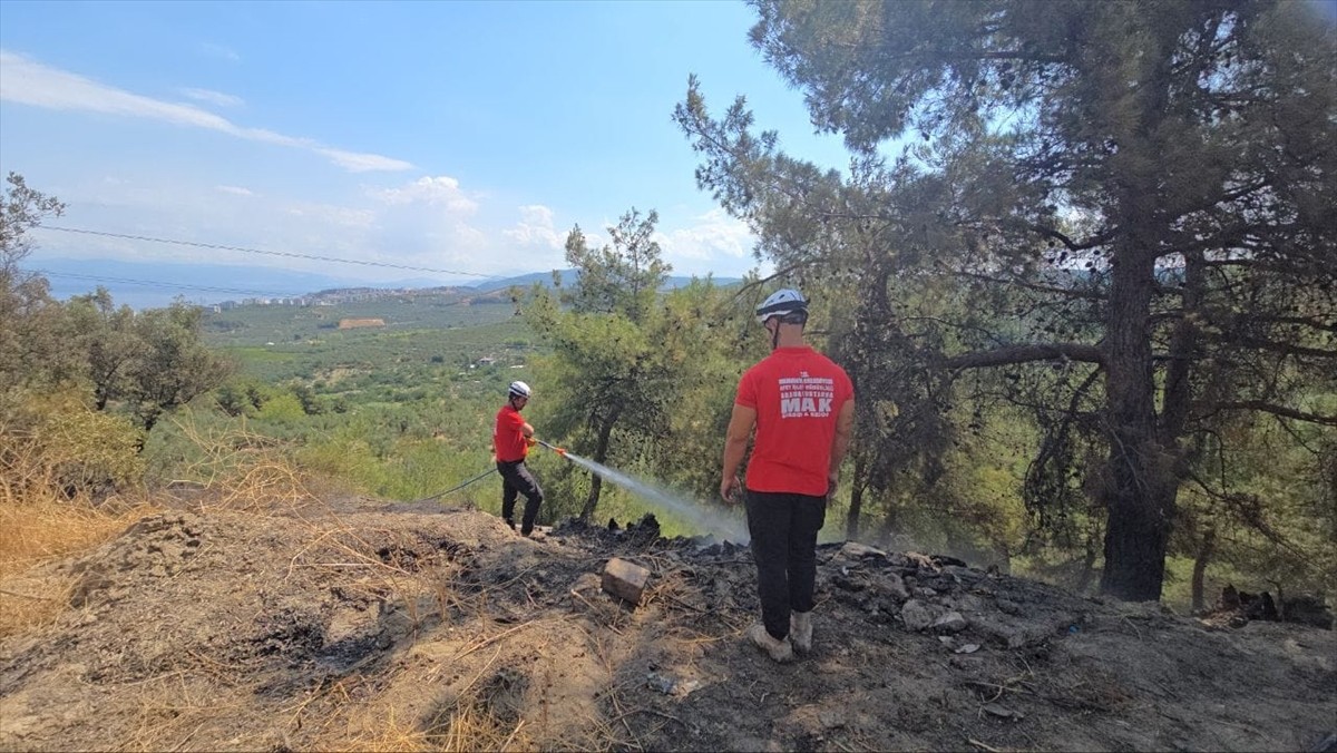 Bursa'nın Mudanya ilçesindeki ormanlık alanda çıkan yangın, itfaiye ekiplerince...