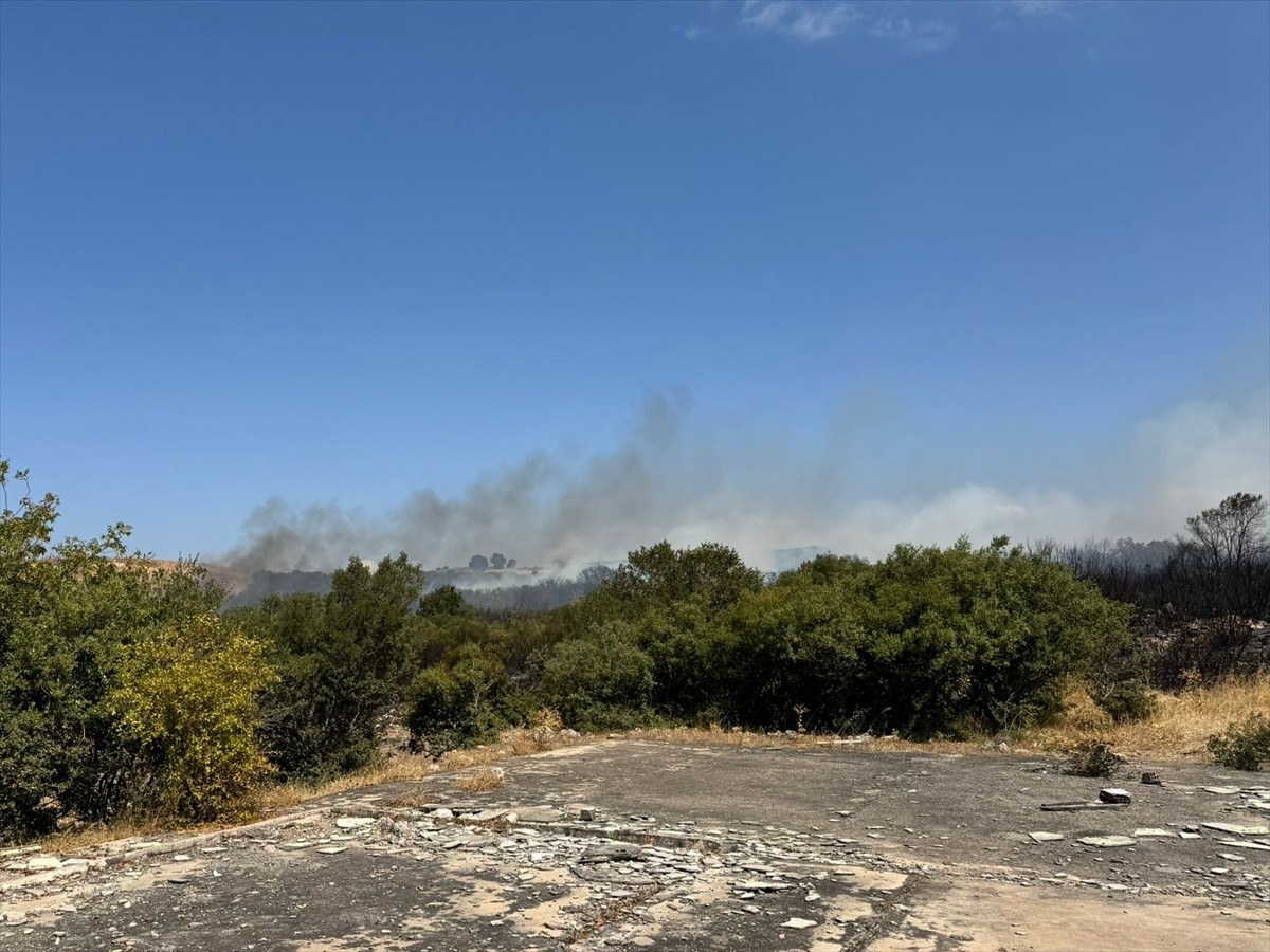 Bursa'nın Nilüfer ilçesinde orman yangını çıktı.