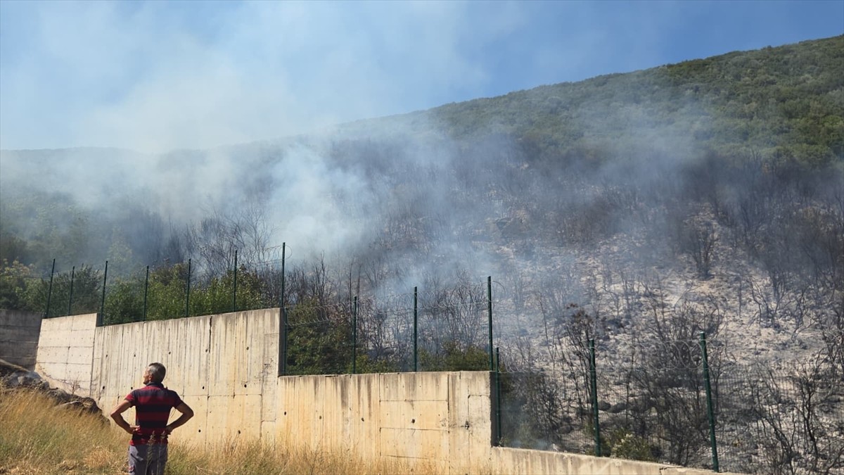 Bursa'nın Orhangazi ilçesinde makilik alanda çıkan yangın söndürüldü.