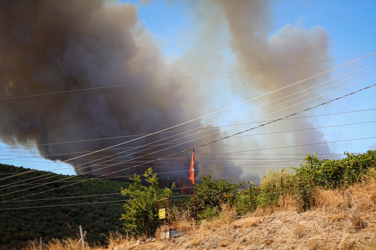 Bursa'nın Yenişehir ilçesinde ormanlık alanda çıkan yangına havadan ve karadan müdahale...