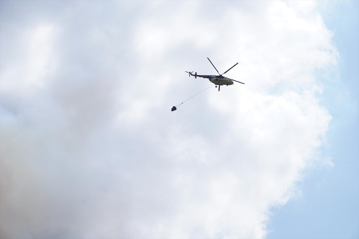 Çanakkale'de tarım arazisinde başlayıp ormanlık alana sıçrayan yangına havadan ve karadan müdahale...