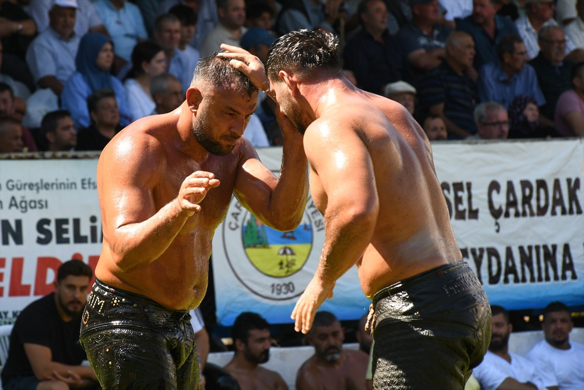 Çanakkale'nin Lapseki ilçesine bağlı Çardak Güreş Sahası'nda düzenlenen 291. Tarihi Çardak Yağlı...
