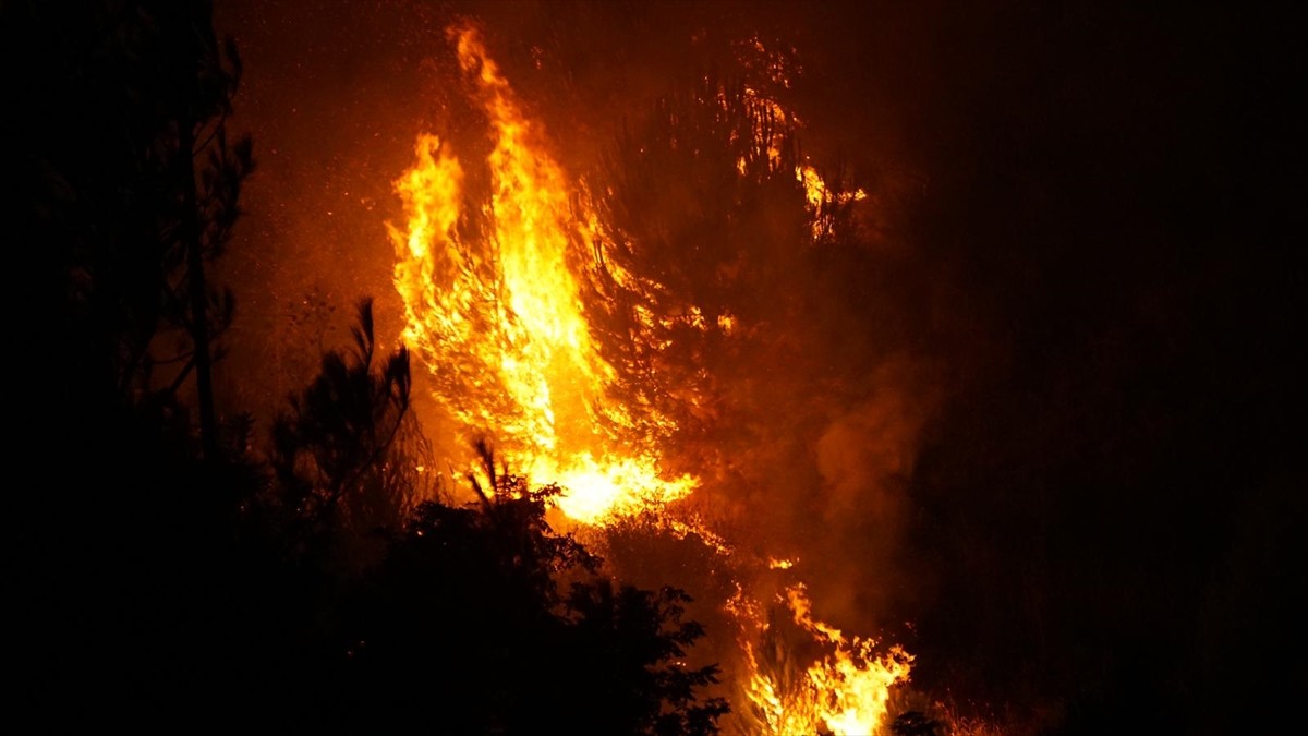 Çanakkale'nin merkez ilçesine bağlı Kepez beldesinde çıkan orman yangını, Erenköy'e (İntepe)...