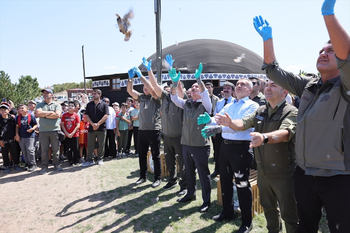 Çorum'da Doğa Koruma ve Milli Parklar Genel Müdürlüğünce yürütülen biyolojik mücadele kapsamında...